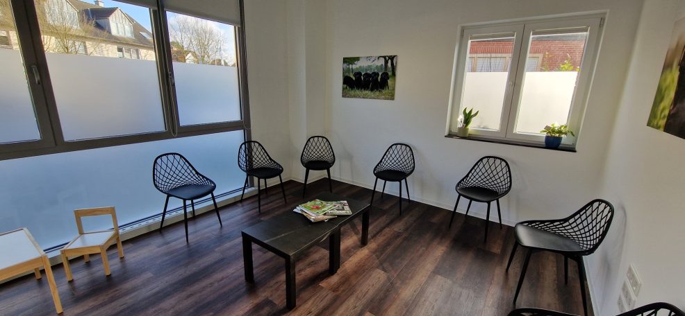 Raum mit sechs Stühlen und einem Tisch, Fenster mit Blick auf den Außenbereich.